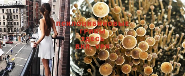 амф Армянск