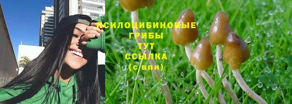 таблы Арсеньев
