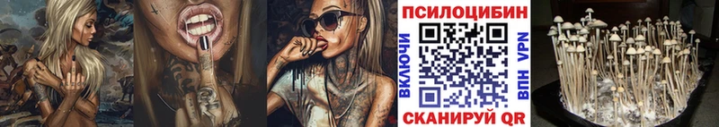 Галлюциногенные грибы GOLDEN TEACHER  купить наркотик  Ногинск 